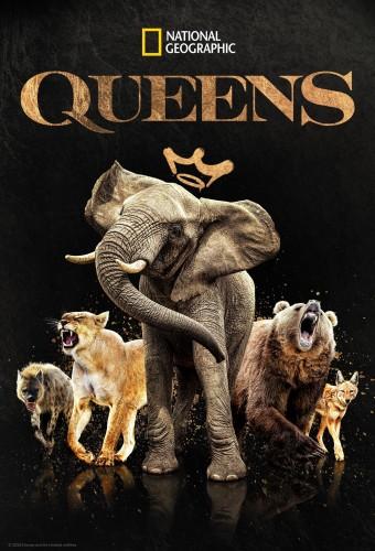 Queens (2024)