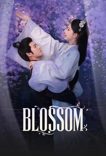 Blossom (2024)