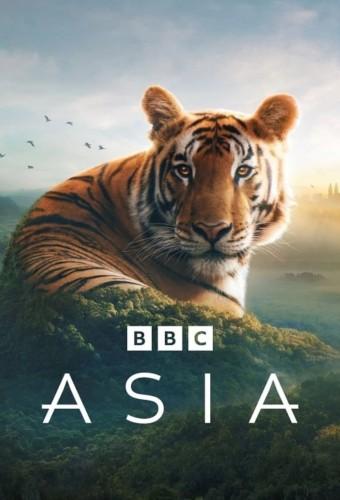 Asia (2024)