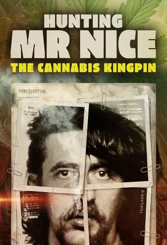 Hunting Mr Nice: The Cannabis Kingpin