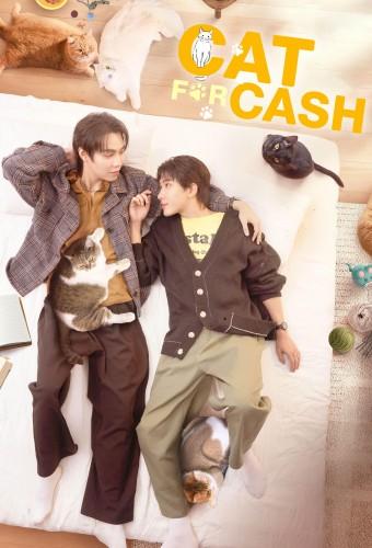 Cat for Cash