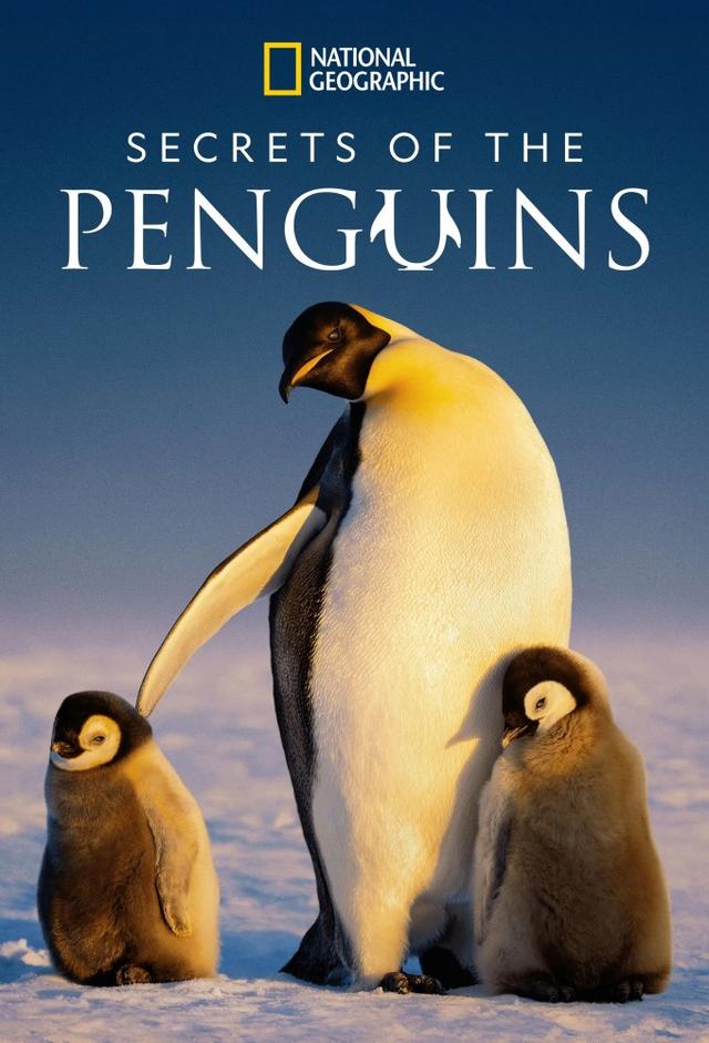 Secrets of the Penguins