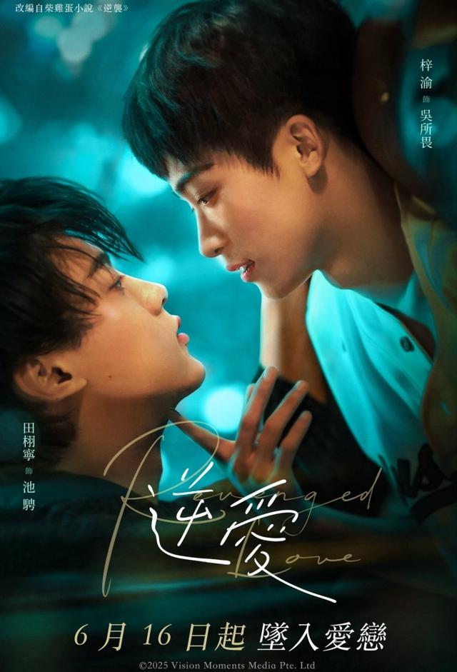 Revenged Love
