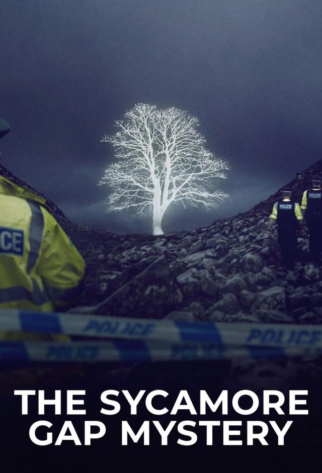 The Sycamore Gap Mystery