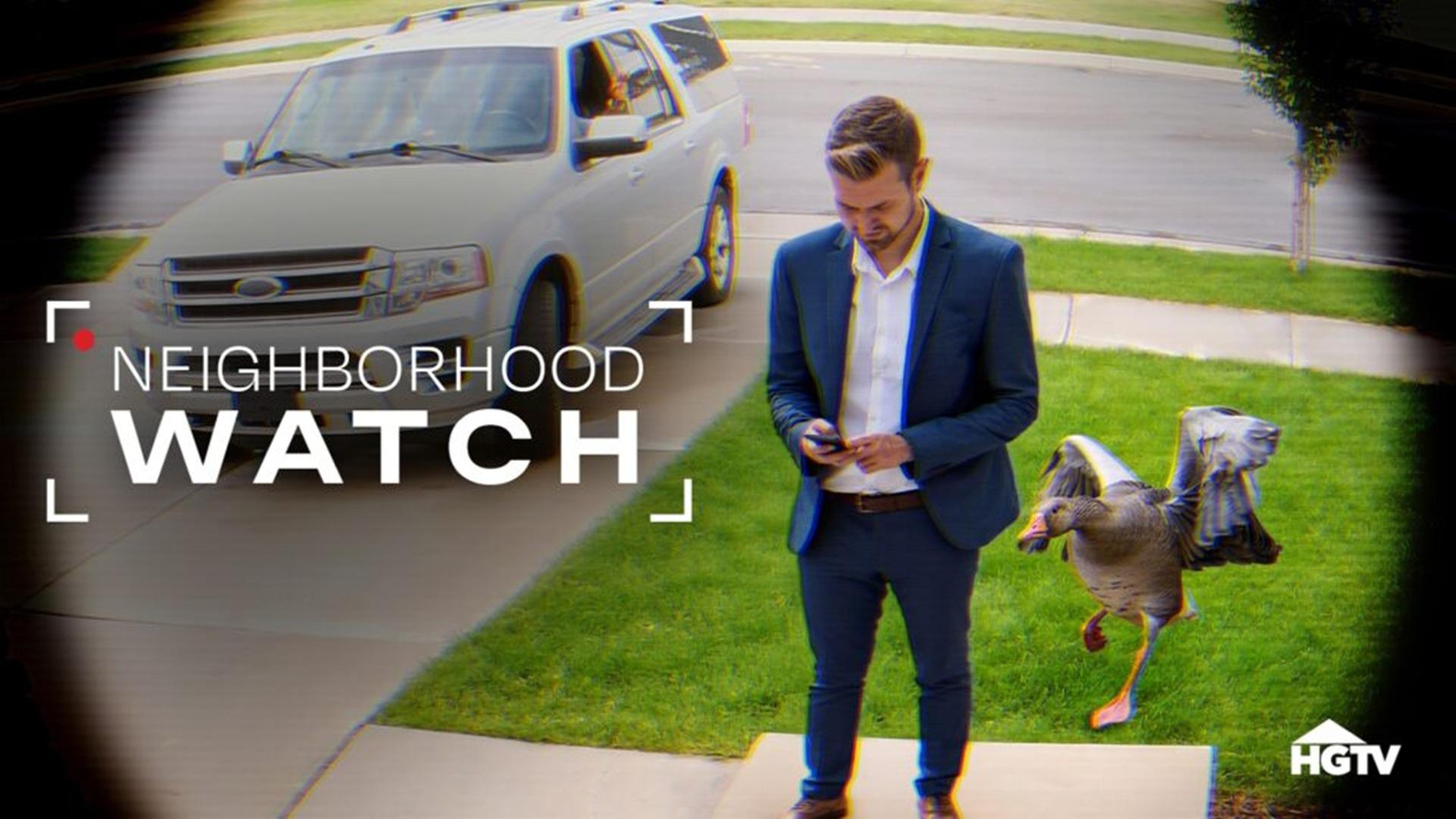 Neighborhood Watch (2026)