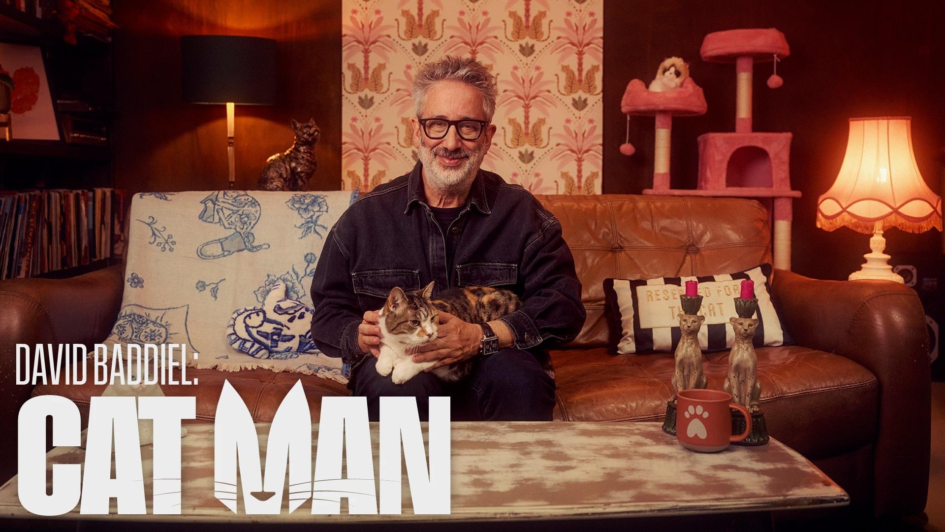 David Baddiel: Cat Man