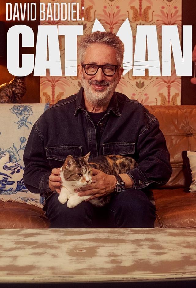 David Baddiel: Cat Man
