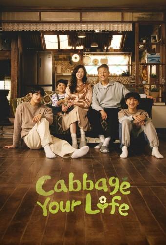 Cabbage Your Life