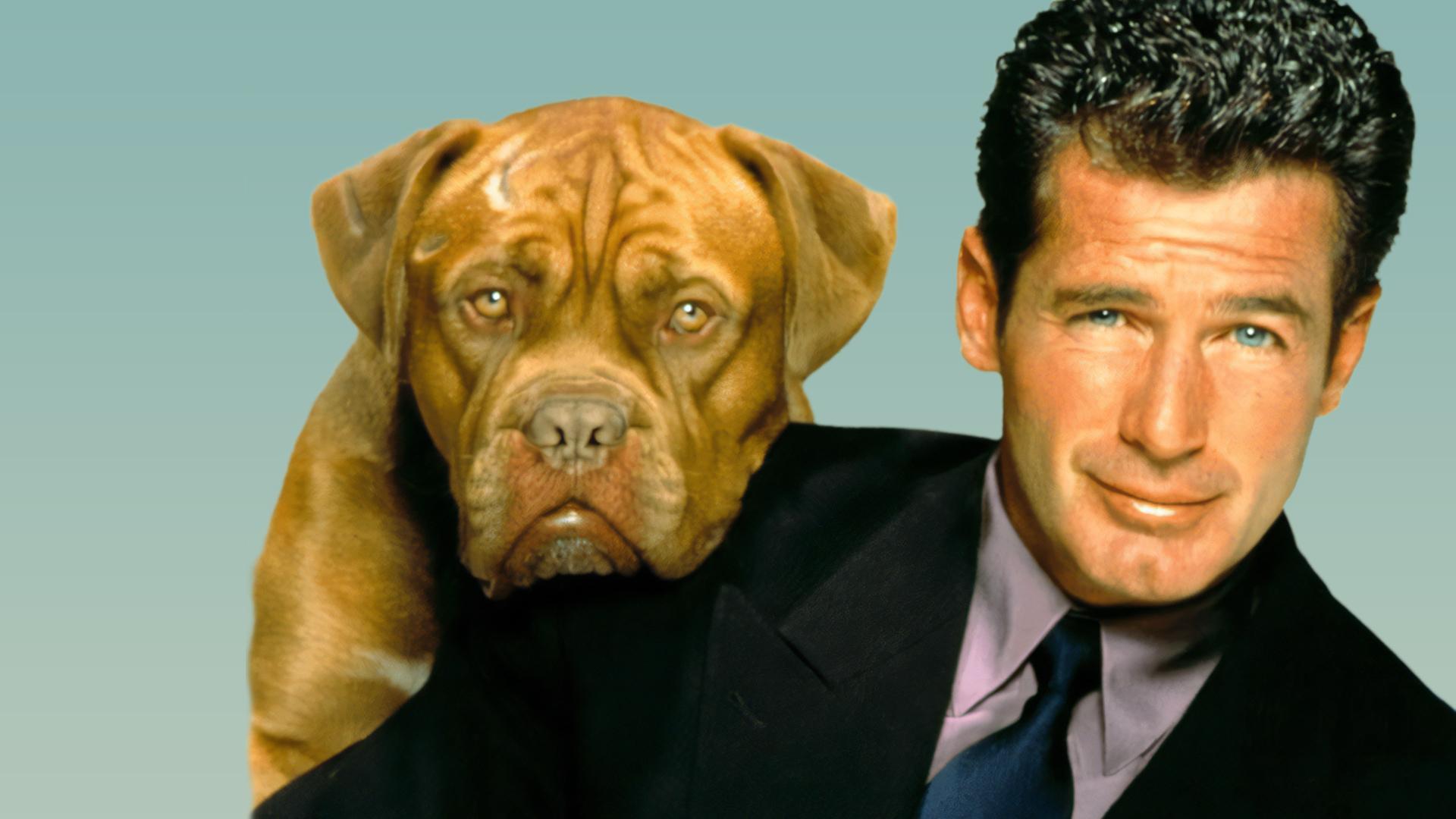 Tequila and Bonetti