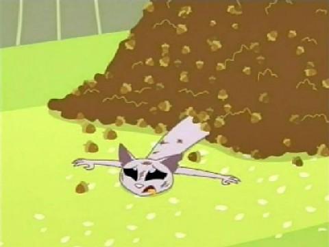 A Squirrel Wind Adventure