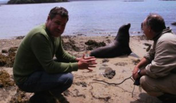 New Zealand Island Adventure