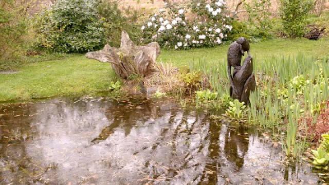 Wild in the Garden