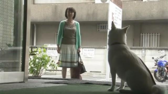 A Father’s Confession…The Stalker’s Tragic Past! The Mistress’ True Identity!