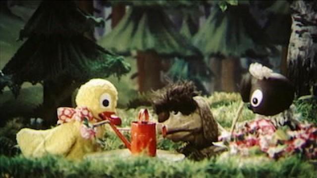 Die Blume in der Gießkanne