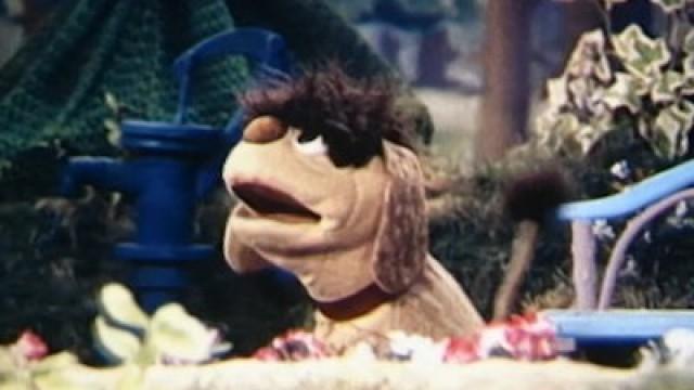 Als Moppi ein Schmetterling war