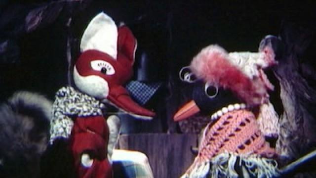 Herr Fuchs als Eisblumenzüchter