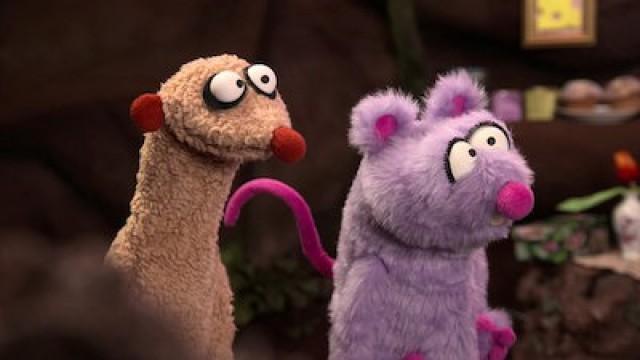 Die Katze mit dem Kunststück