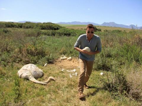 South Africa: Hidden Gems