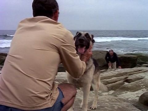 Guardian at the Gates