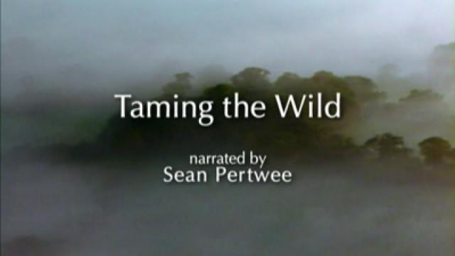Taming The Wild