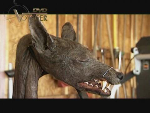 Dalla vetta della grande Piramide