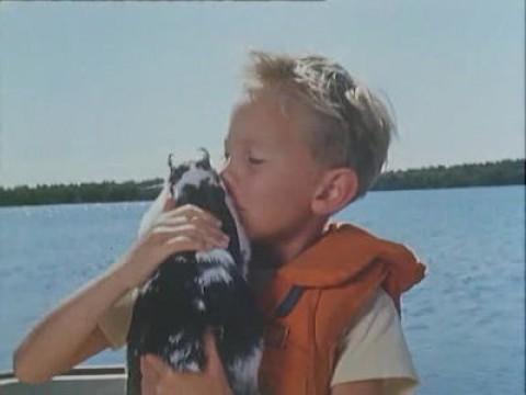 Ett litet djur åt Pelle