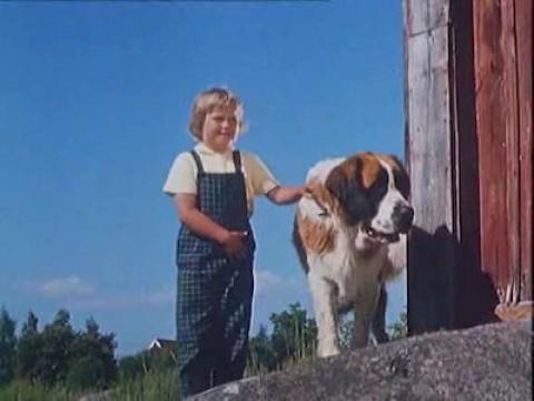 Snickargården i fara