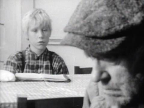 Hoctus Boctus, een kalversteert die gekrokt is