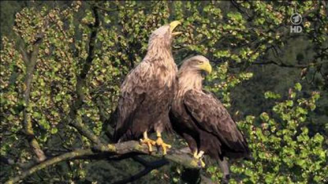 Wildes Deutschland (5): Der Spreewald