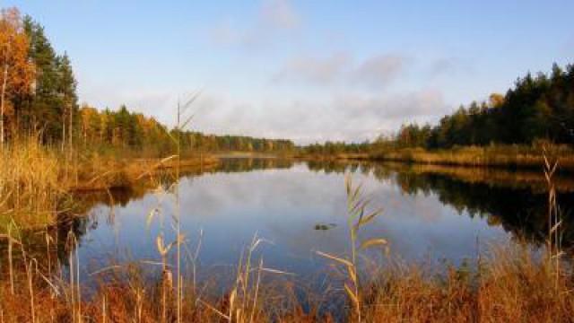 Lettlands Küste - Slitere