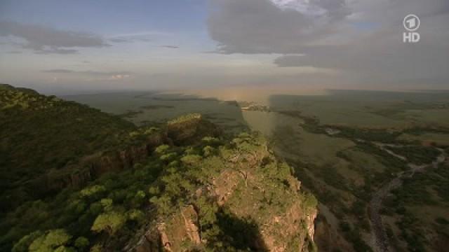 Wildes Arabien - Wüste voller Leben
