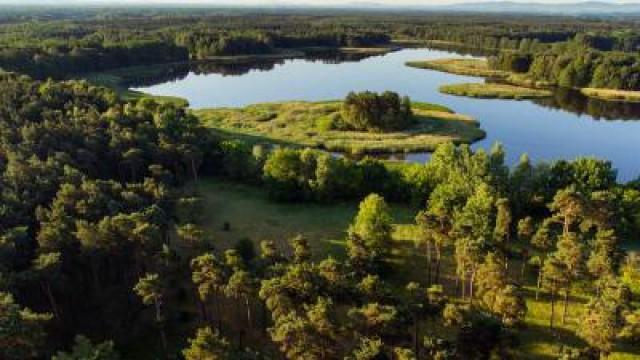 Wildes Deutschland (2): Wildes Berlin