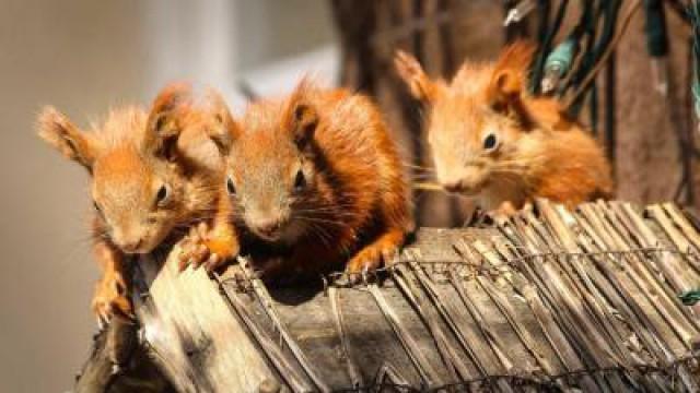 Der Große Kaukasus – Russlands Dach der Welt