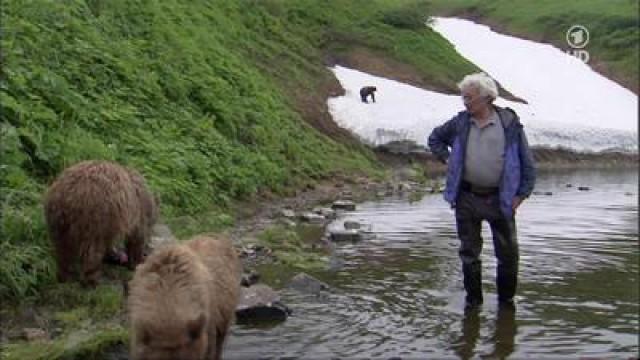 Der Bärenmann in Kamtschatka