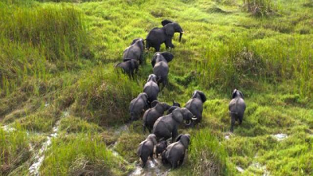 Die größten Flüsse der Erde (2) - Der Nil