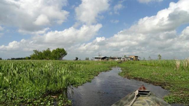 Die größten Flüsse der Erde (3) - Der Mississippi