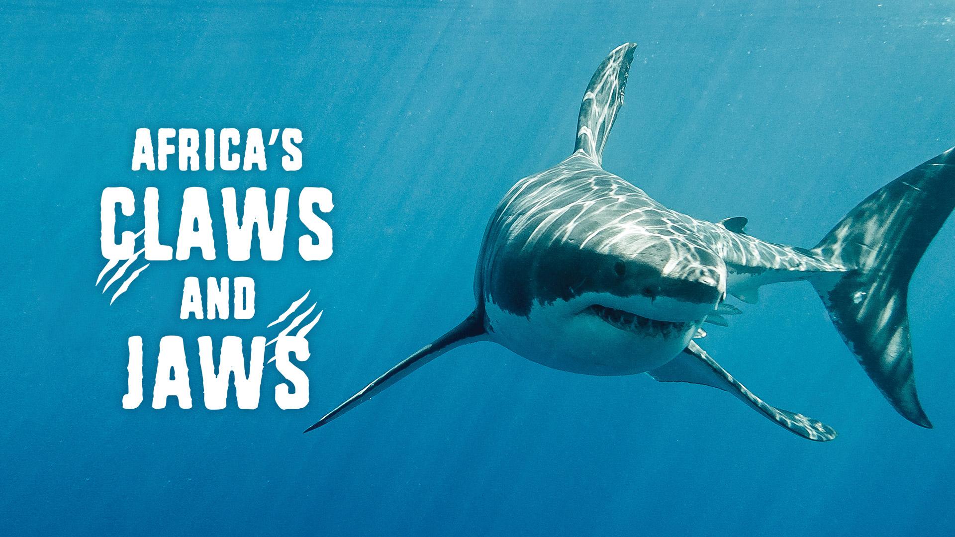 Africa's Claws and Jaws
