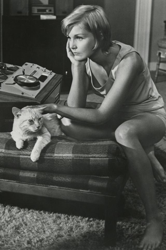 Once You Kiss a Stranger...