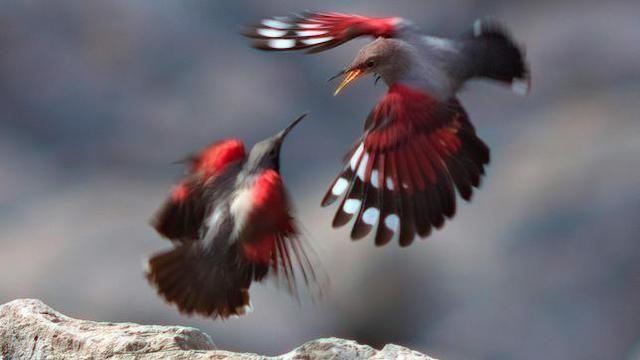 Wildes Spanien (1): Der atlantische Norden