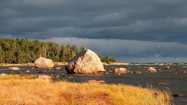 Wildes Baltikum (1) Die Küste