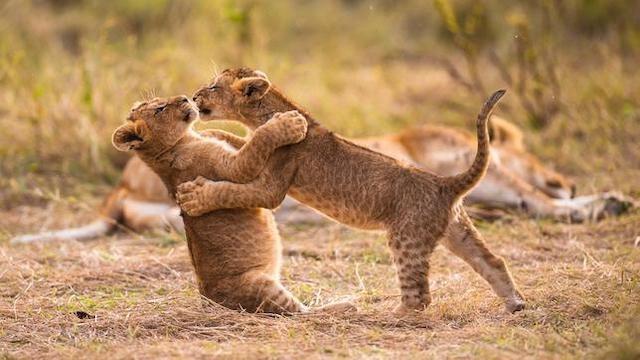 Überleben (1) Gefährliche Kindheit