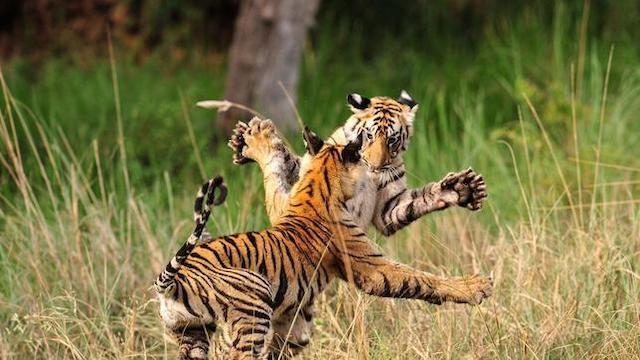 Überleben (2): Die Welt entdecken