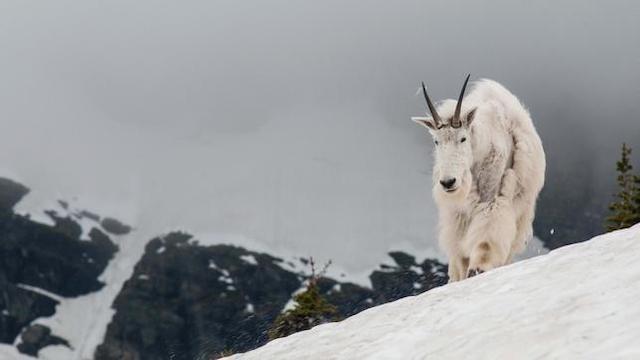 Überleben (3): Eine Zuflucht finden