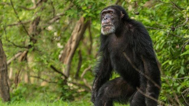 Überleben (4): Kampf um die Macht