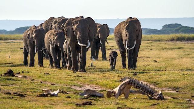 Überleben (6): Eltern im Einsatz
