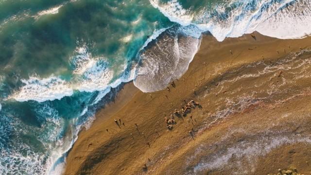 Wildes Argentinien (1): Gefährliche Küste