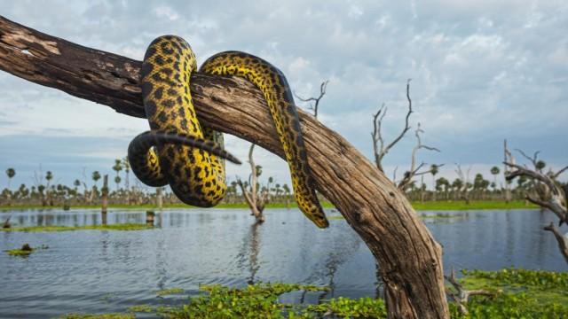 Wildes Argentinien (3): Die Kraft des Wassers