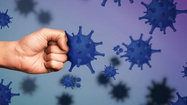Our Immune System - A Powerful Guardian