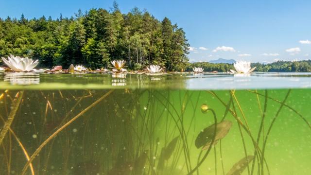 Eintauchen ins tiefe Blau – Unsere Seen im Norden