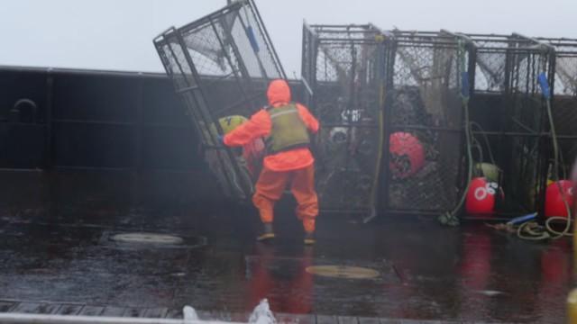 Mutiny on the Confidence